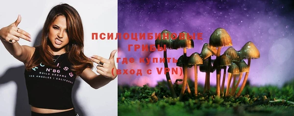 2c-b Волосово