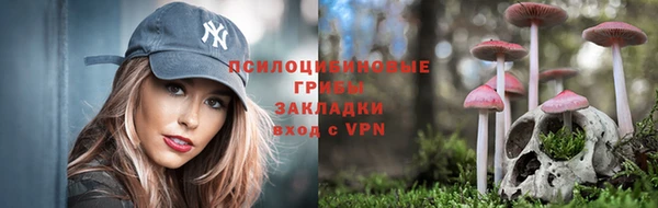 ALPHA PVP Вязники