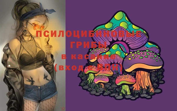 ALPHA PVP Вязники