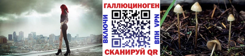 цены   Дудинка  Галлюциногенные грибы Cubensis 