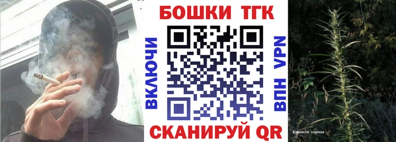 Бошки Шишки планчик Дудинка